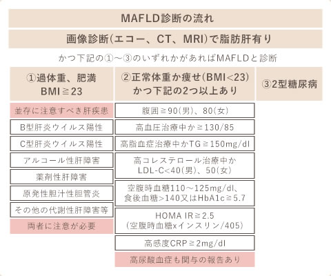 MAFLD診断の流れ